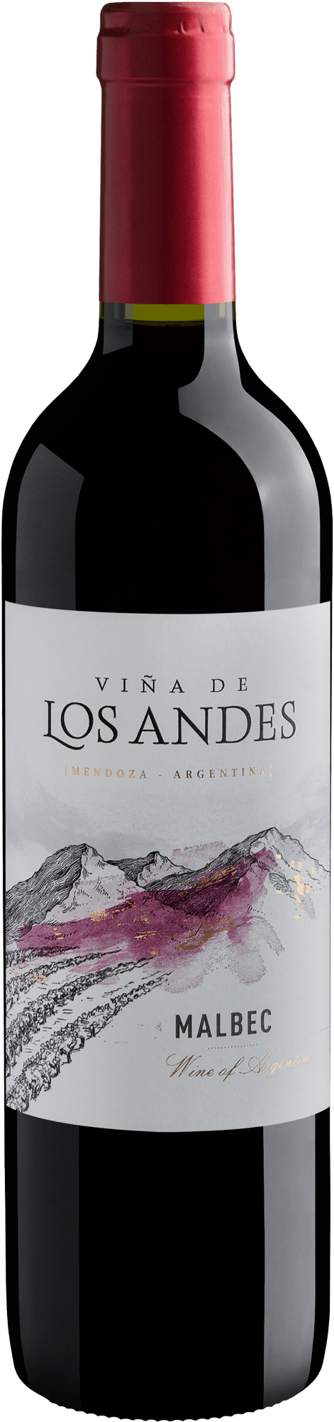 Garrafa do vinho Viña de Los Andes Malbec